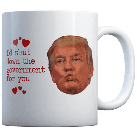 I'D SHUT THE GOVERNMENT FOR YOU KISS - COFFEE MUG